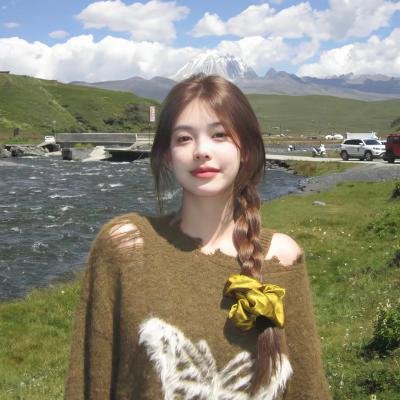 鸡同鸭讲